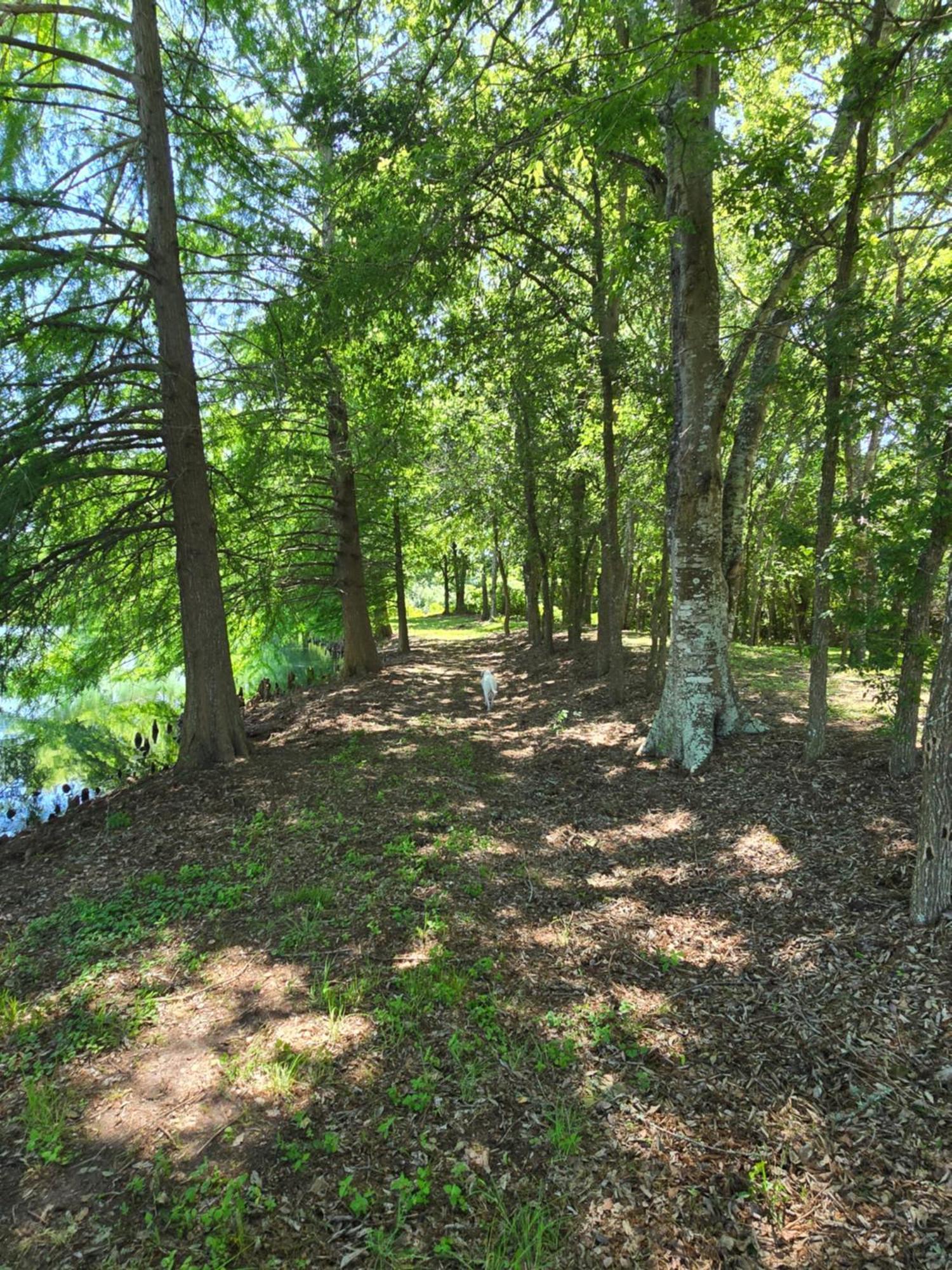 At Indian Creek * Burton